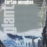 Tartan Amoebas - Giant